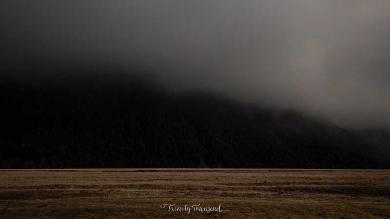 IMG_8569