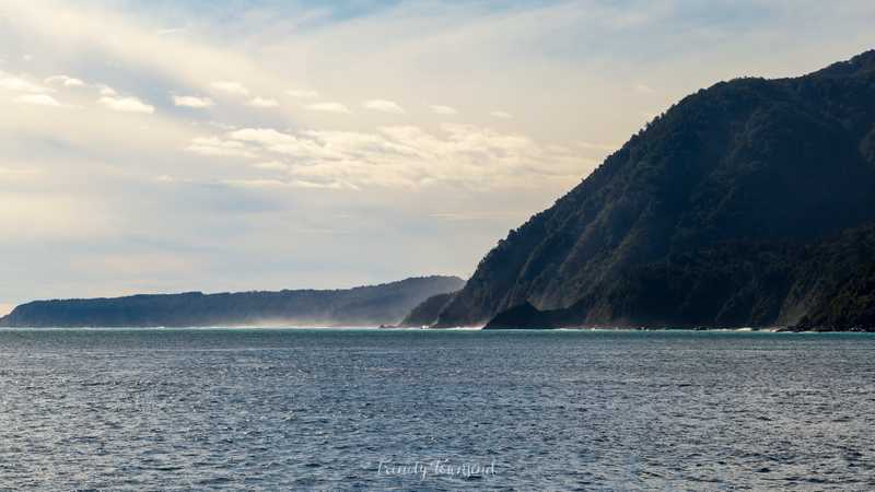 IMG_8770