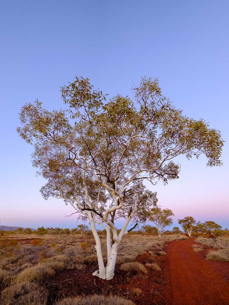 _DSF1772-Pano