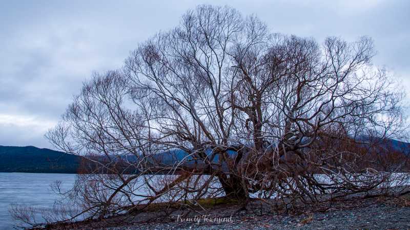 IMG_8548-HDR