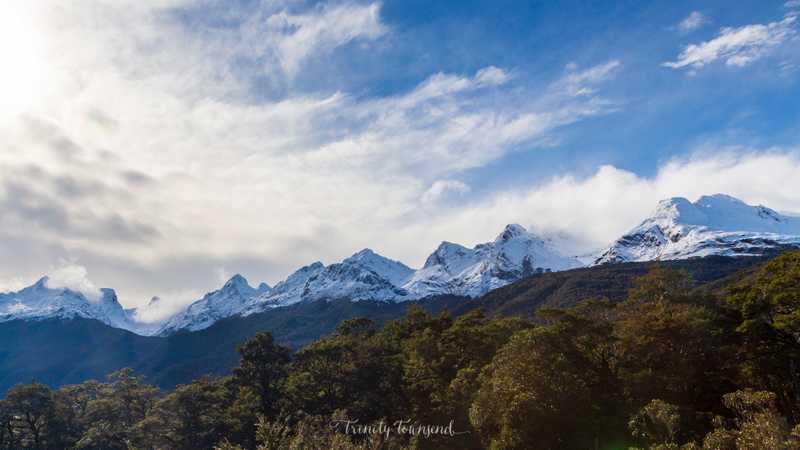 IMG_8594