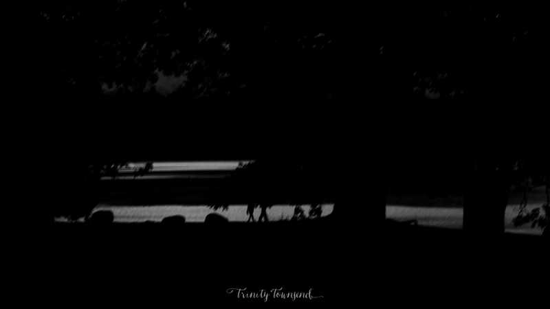 IMG_9239