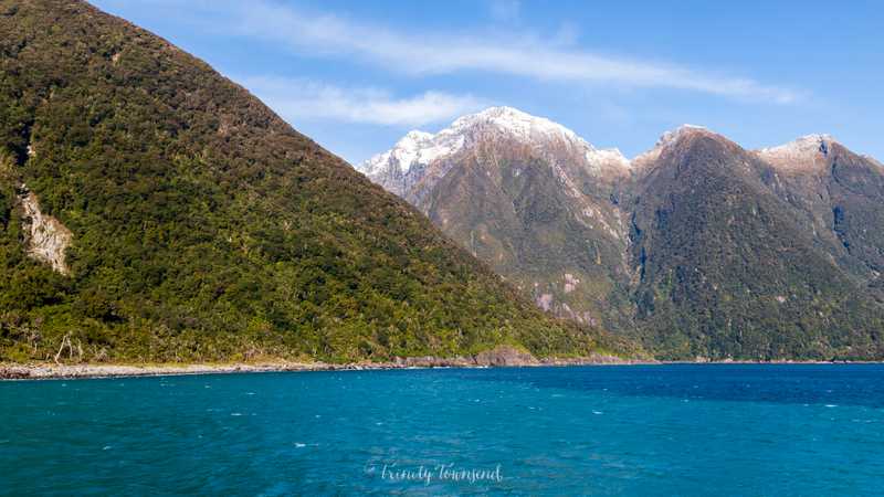 IMG_8774