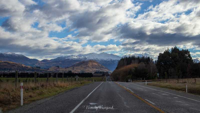 IMG_6995